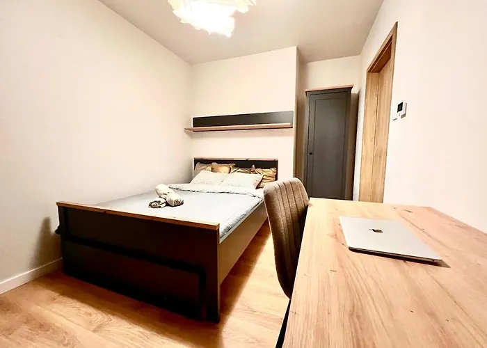 Pleasant Flat Next To Old Town Lublin