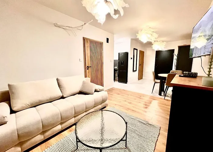 Pleasant Flat Next To Old Town Lublin